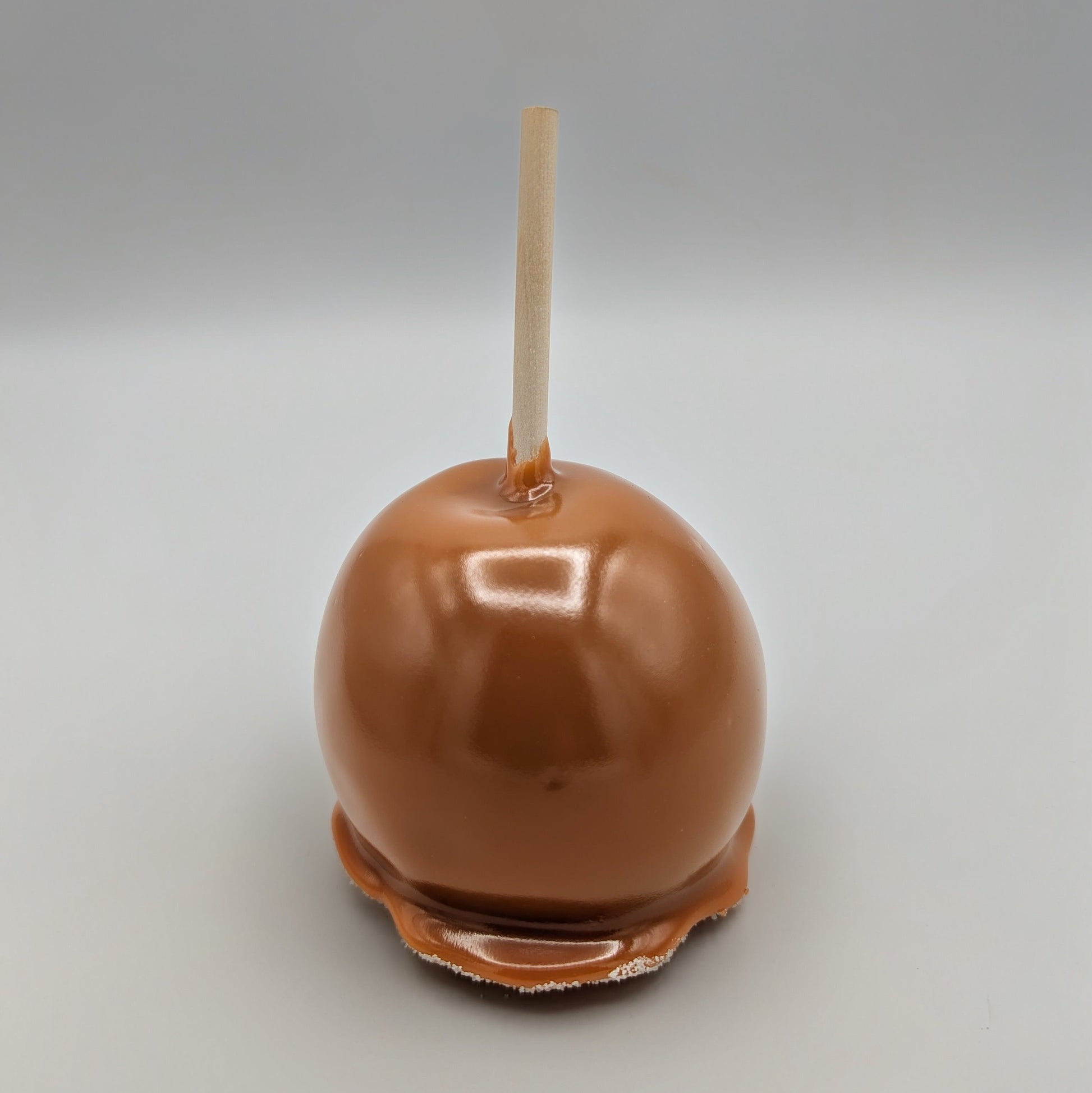 Caramel apple on a stick with a gray background