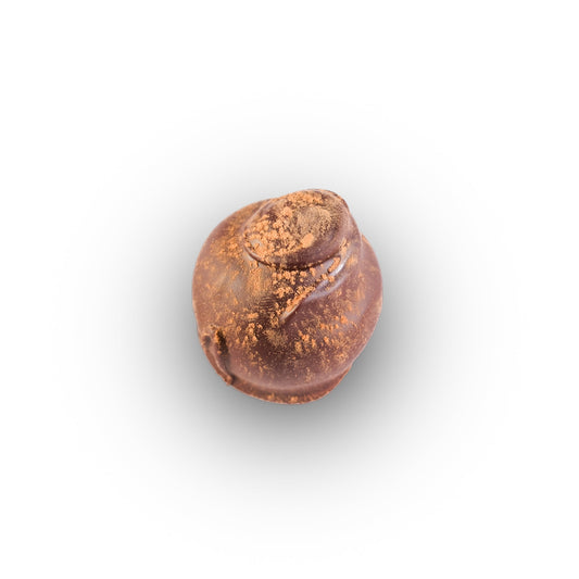 Cappuccino chocolate truffle with espresso-infused ganache center