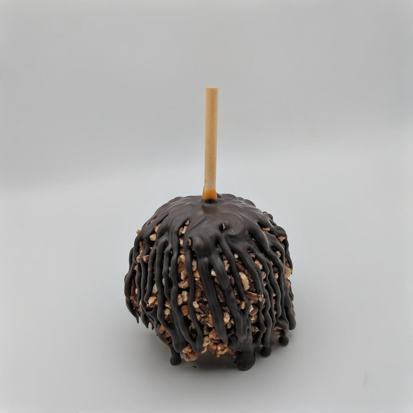 Chocolate-covered caramel apple with pecans on a stick on a gray background
