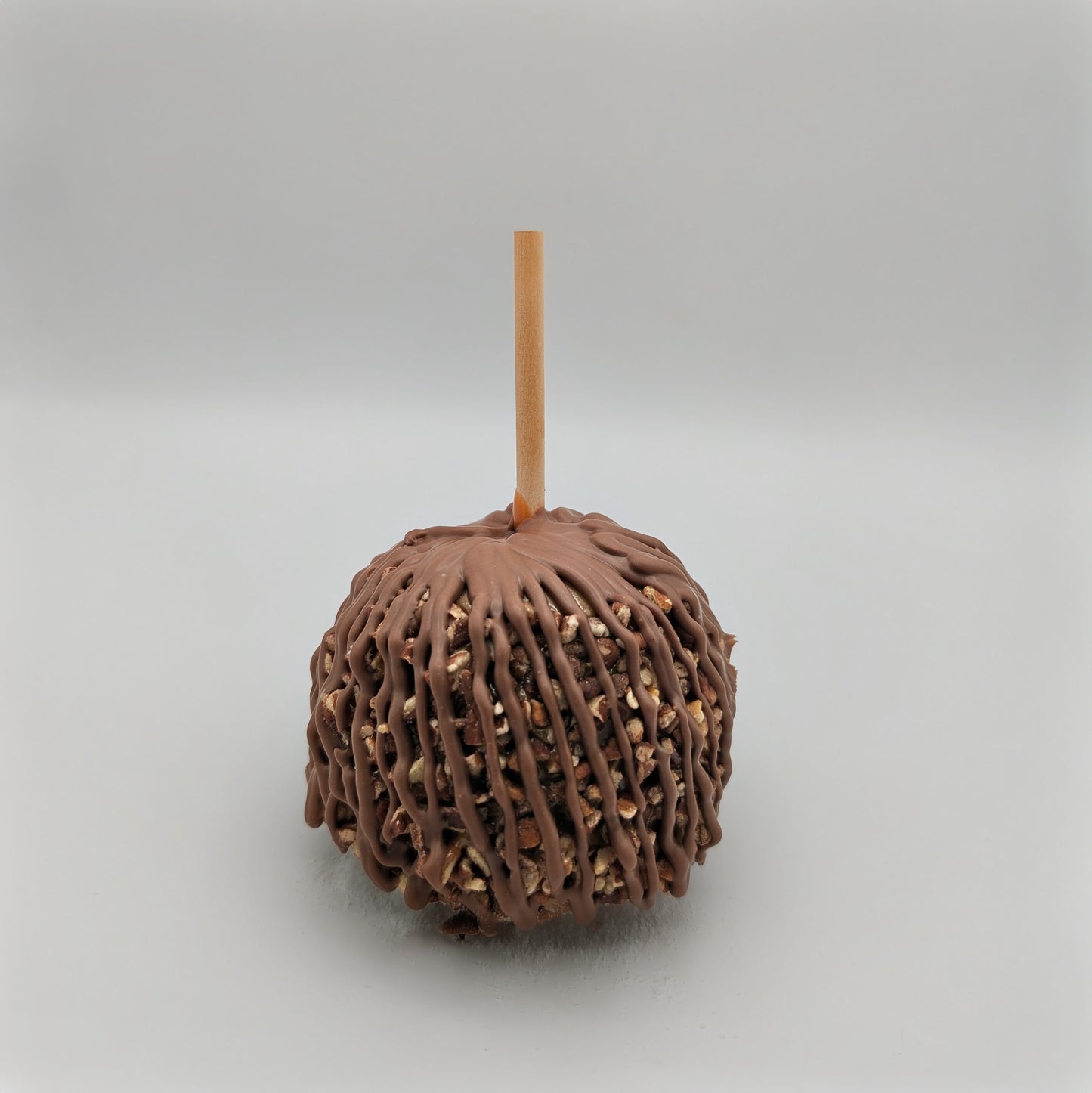 Chocolate-covered caramel apple with pecans on a stick on a gray background