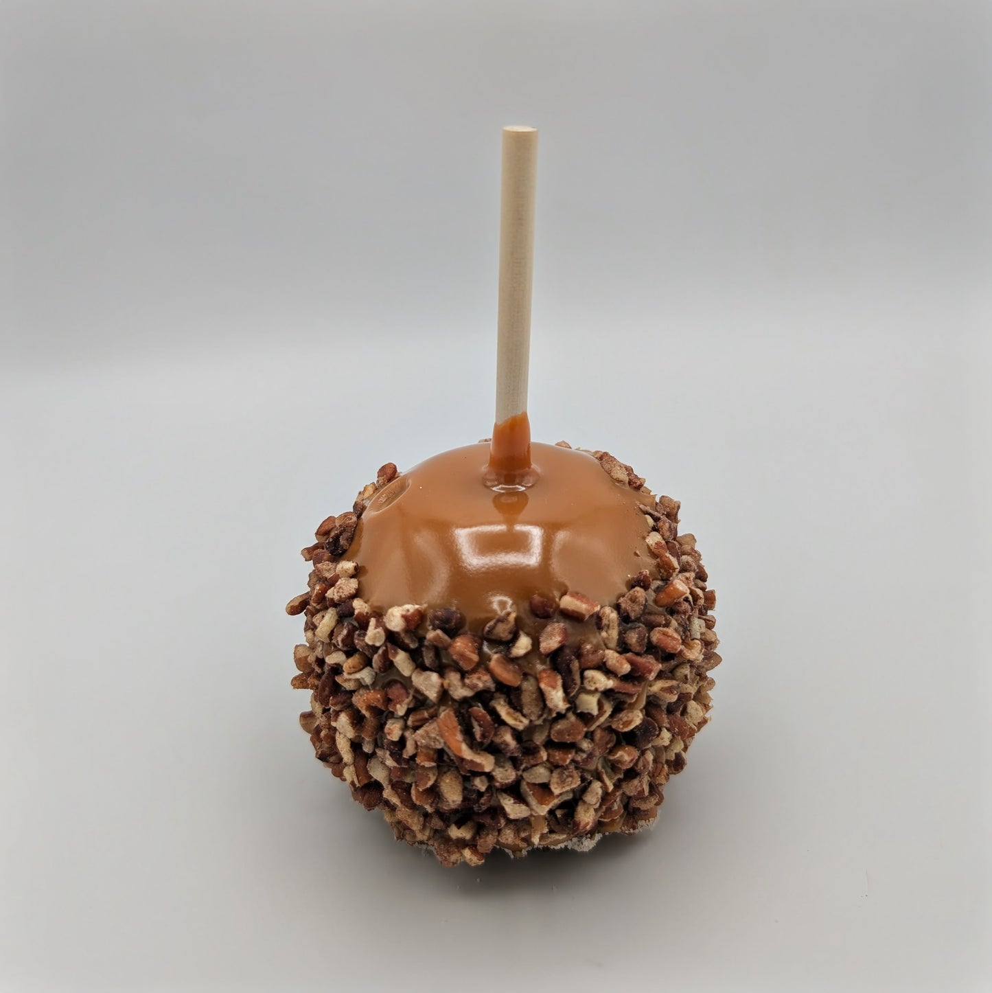 Pecan caramel apple with a stick on a gray background