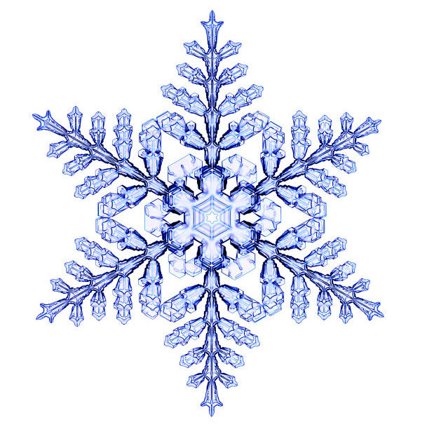 Ice Pack