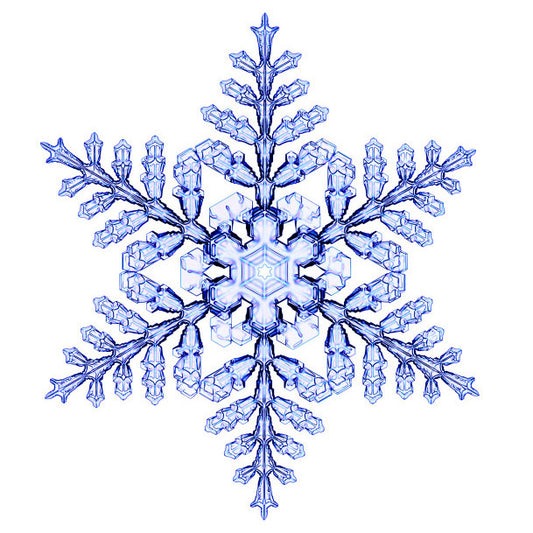 Ice Pack